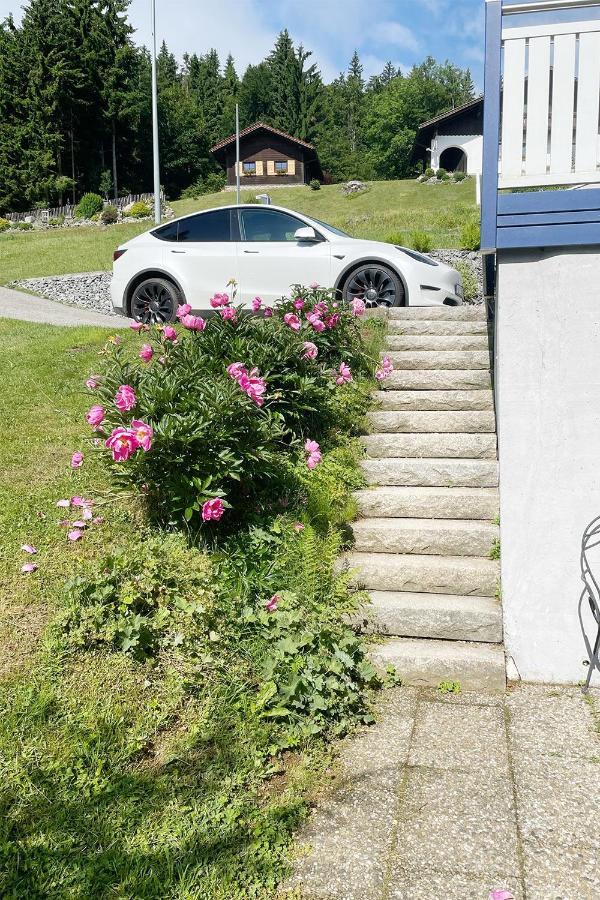 Haus Waldblick Apartment Philippsreut Bagian luar foto